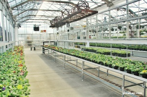 Промышленные насосы JETEX С в системах водоснабжения теплиц и ботанических садов